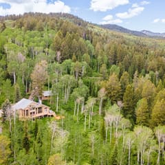 Pine Tree Lodge
