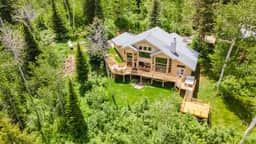 Pine Tree Lodge