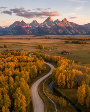 Fall Foliage