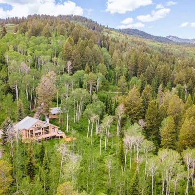 Pine Tree Lodge