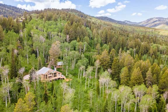 Pine Tree Lodge - Image 1