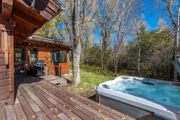 Quaking Aspen Escape