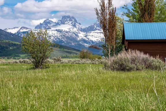 Bear Creek Cabin 1