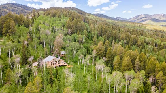 Pine Tree Lodge